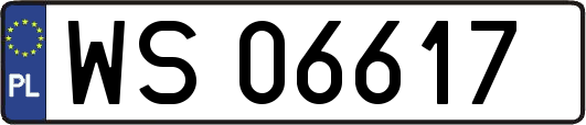 WS06617