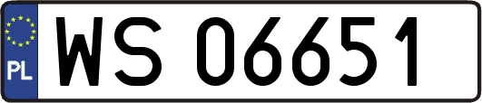 WS06651