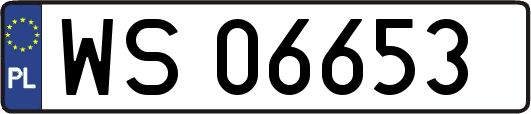 WS06653