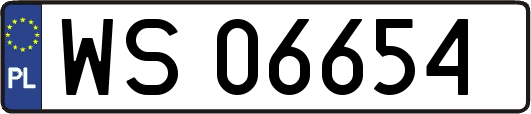 WS06654