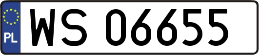 WS06655