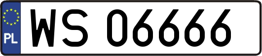 WS06666