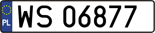 WS06877
