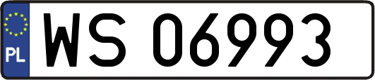 WS06993