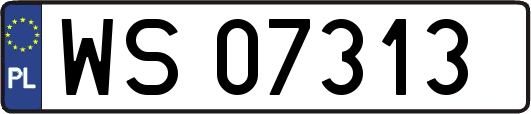 WS07313