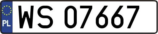 WS07667