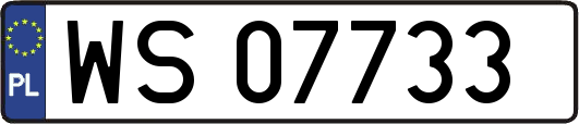 WS07733