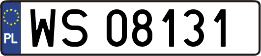 WS08131