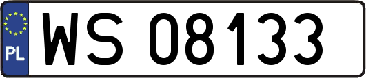 WS08133