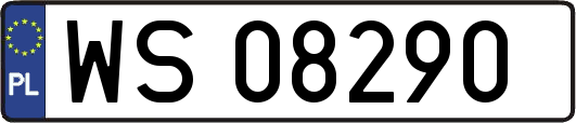 WS08290