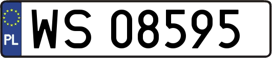 WS08595