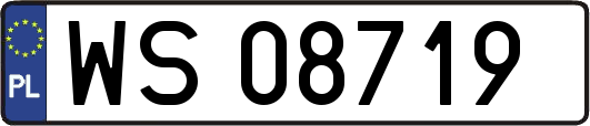 WS08719