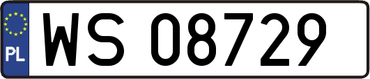 WS08729