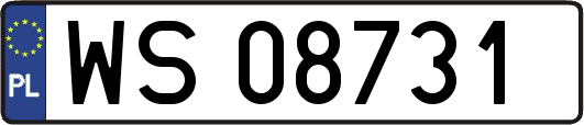 WS08731