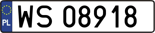WS08918