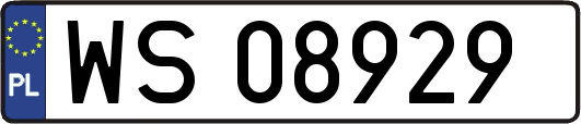 WS08929