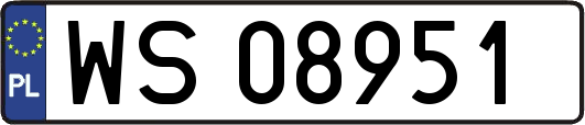 WS08951