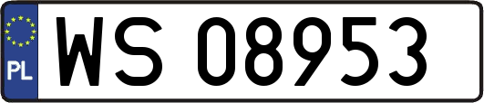 WS08953