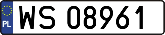WS08961