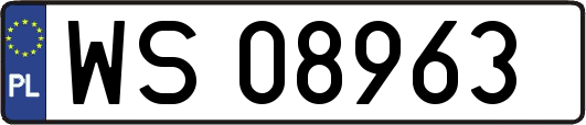 WS08963