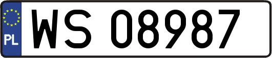 WS08987