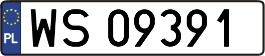 WS09391