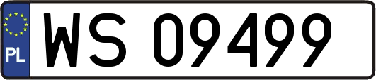 WS09499