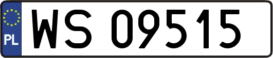 WS09515