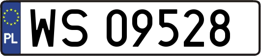 WS09528