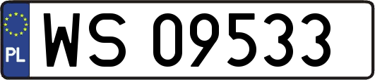 WS09533