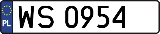 WS0954