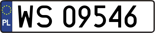 WS09546
