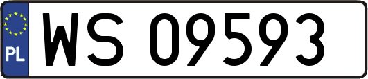 WS09593