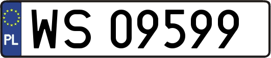 WS09599