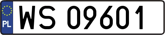 WS09601
