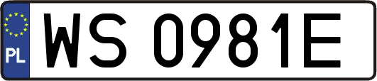 WS0981E