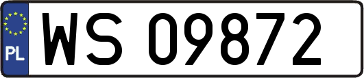 WS09872