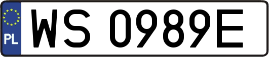 WS0989E