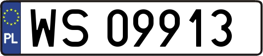 WS09913