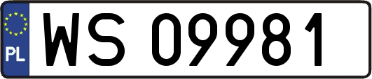 WS09981