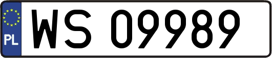 WS09989