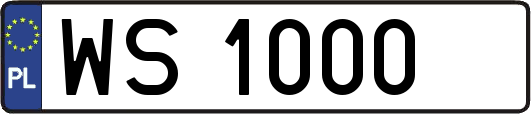 WS1000