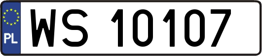 WS10107
