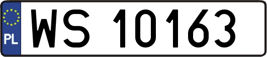 WS10163