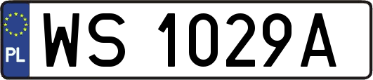 WS1029A
