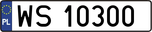 WS10300