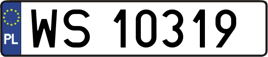 WS10319