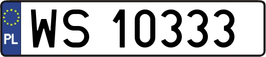 WS10333