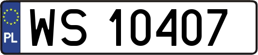 WS10407