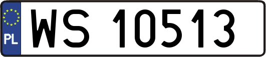 WS10513